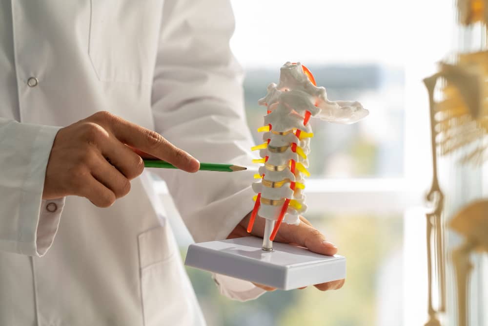 fisioterapeuta hernia discal a domicilio Madrid